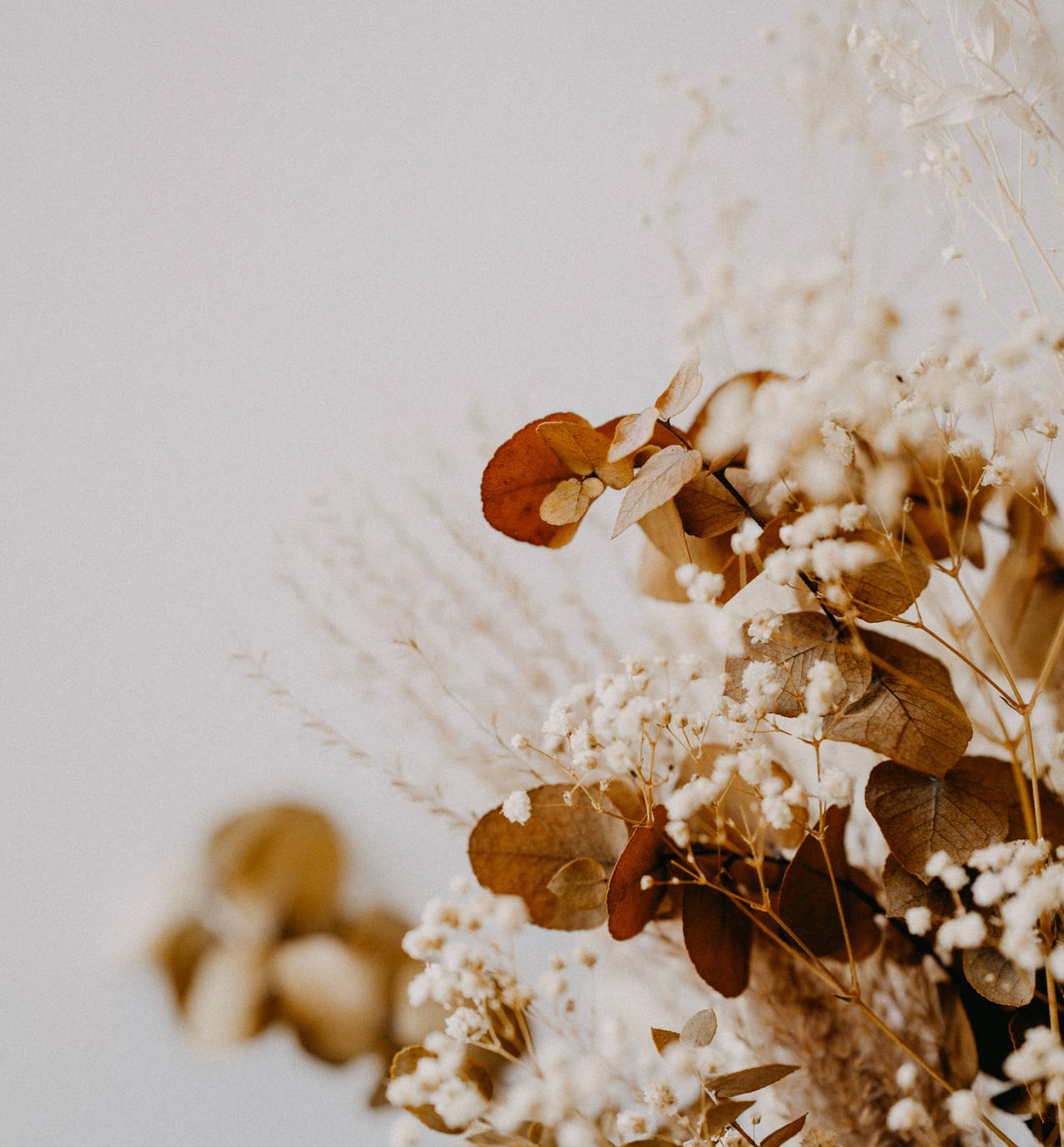 Image de Annie Spratt